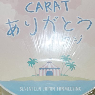 【知勳】CARAT SUMMER CAMP大扇