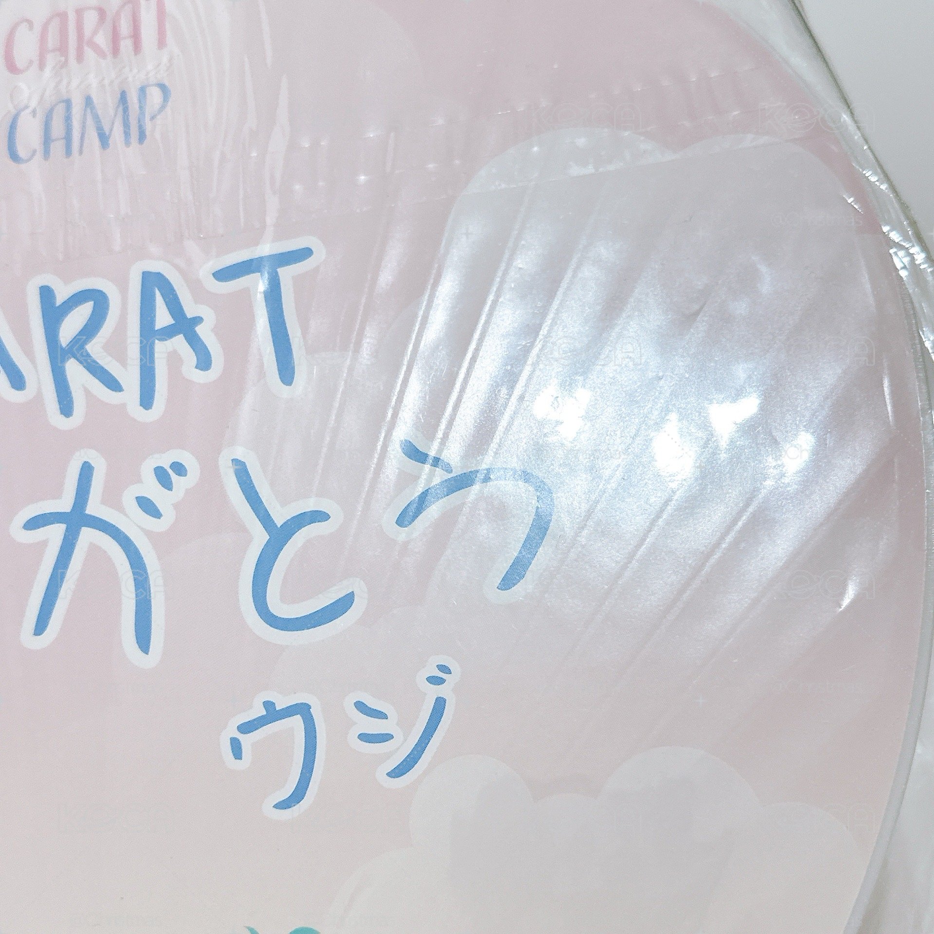 【知勳】CARAT SUMMER CAMP大扇