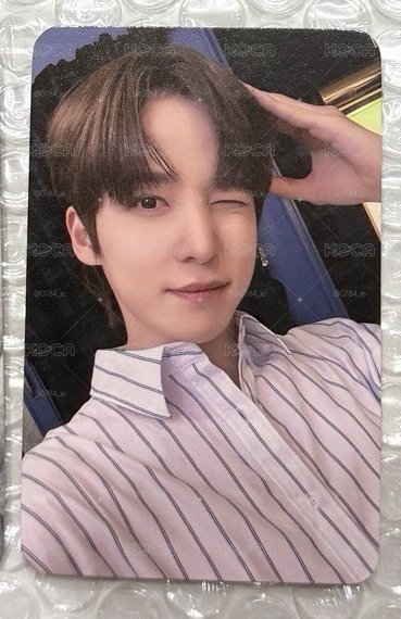 襯衫小狗耳朵潤 🐶