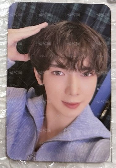 毛衣小狗耳朵尚 🐩