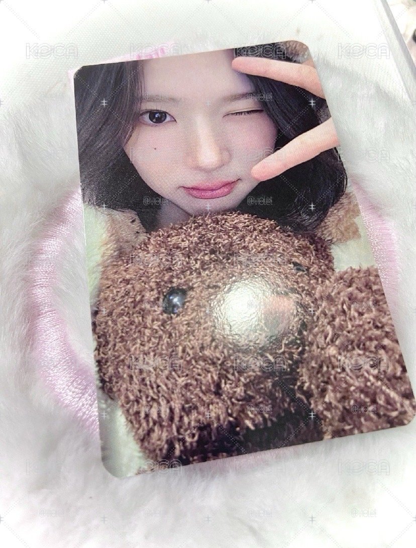 Jiwoo ia 2.0 抱熊🐻