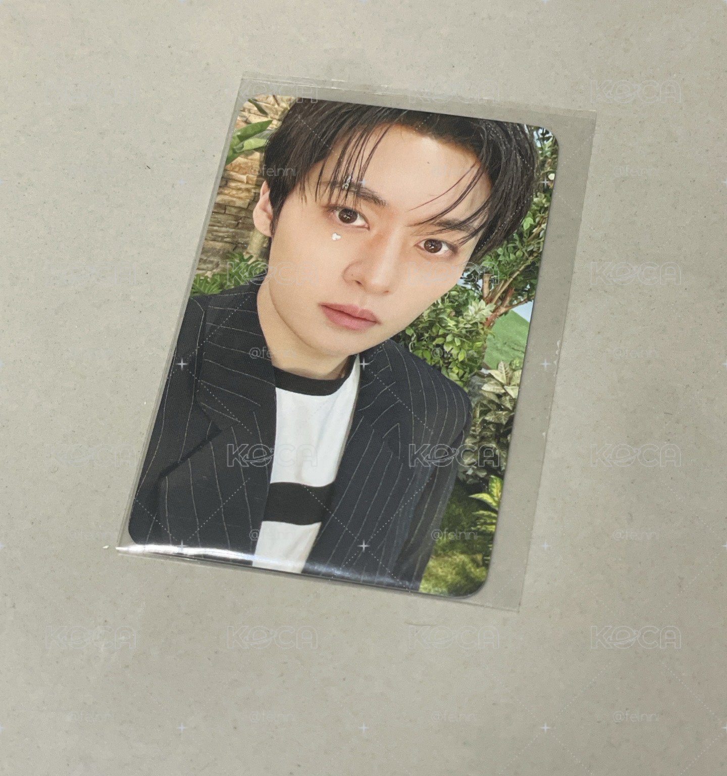 fans 旻