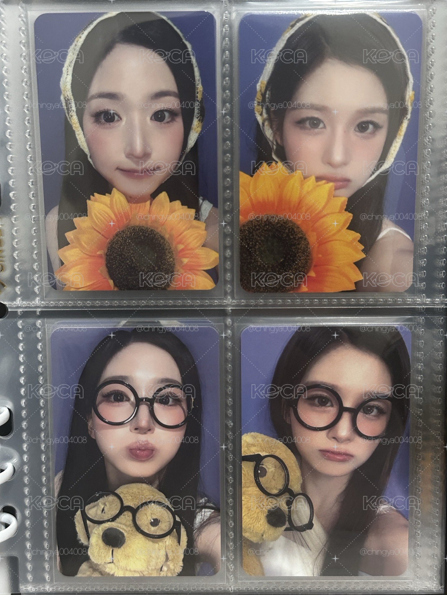 向日葵 小狗眼鏡✅
