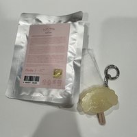 碩