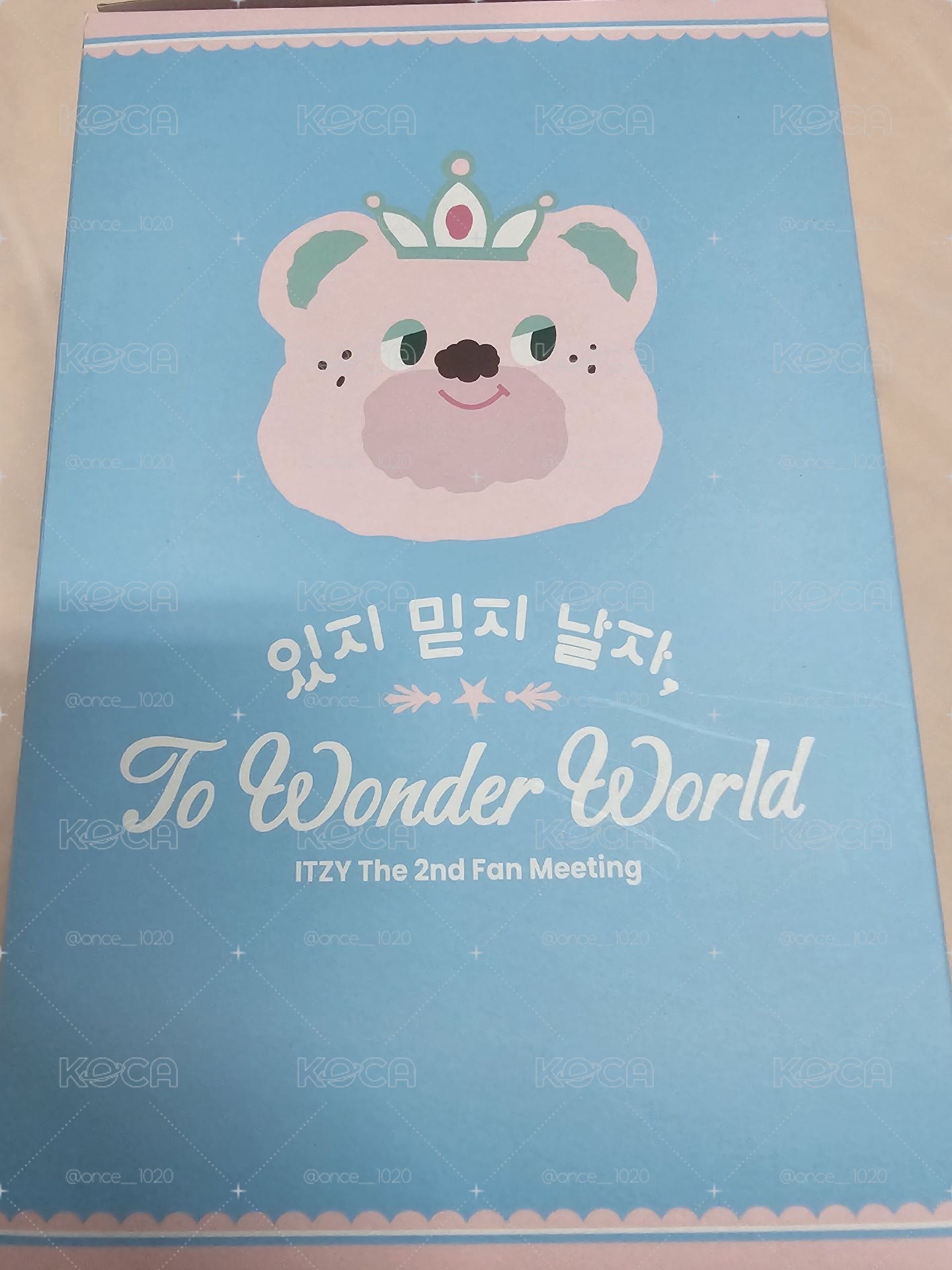 ITZY 熊