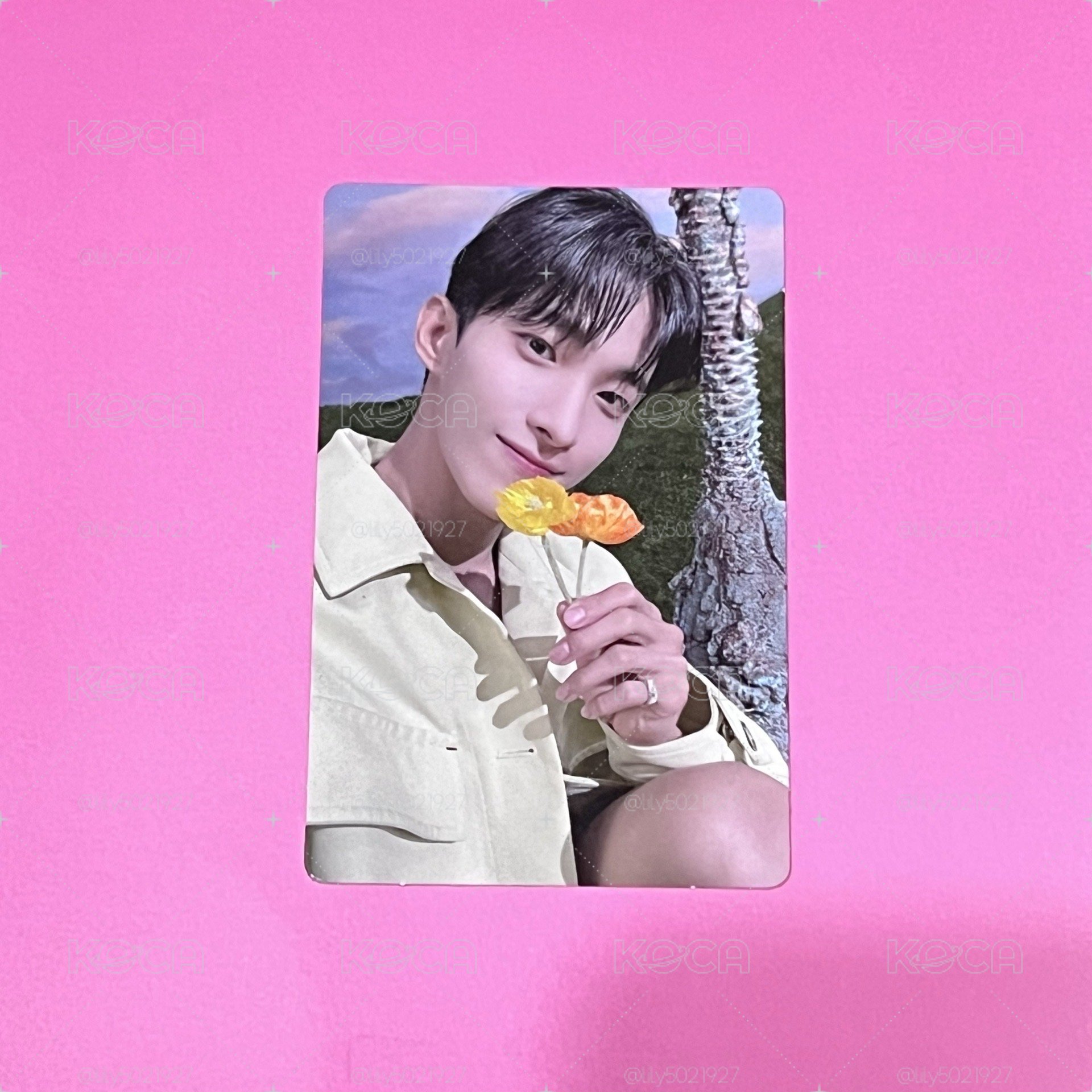 SEVENTEEN DK