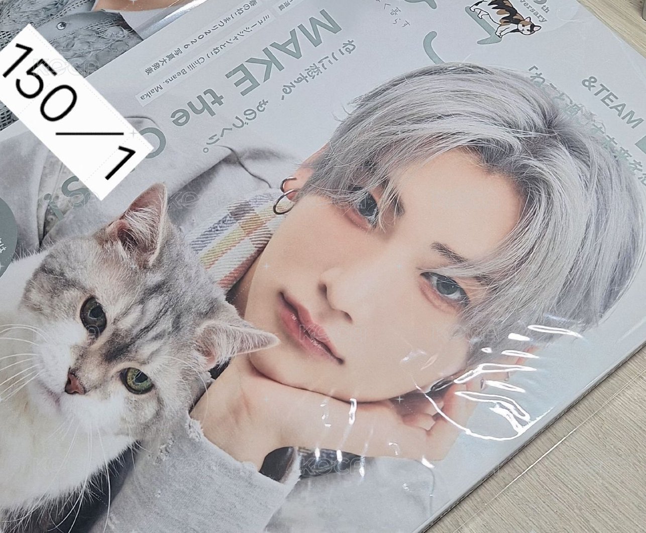 ⚪️🐱雜誌
