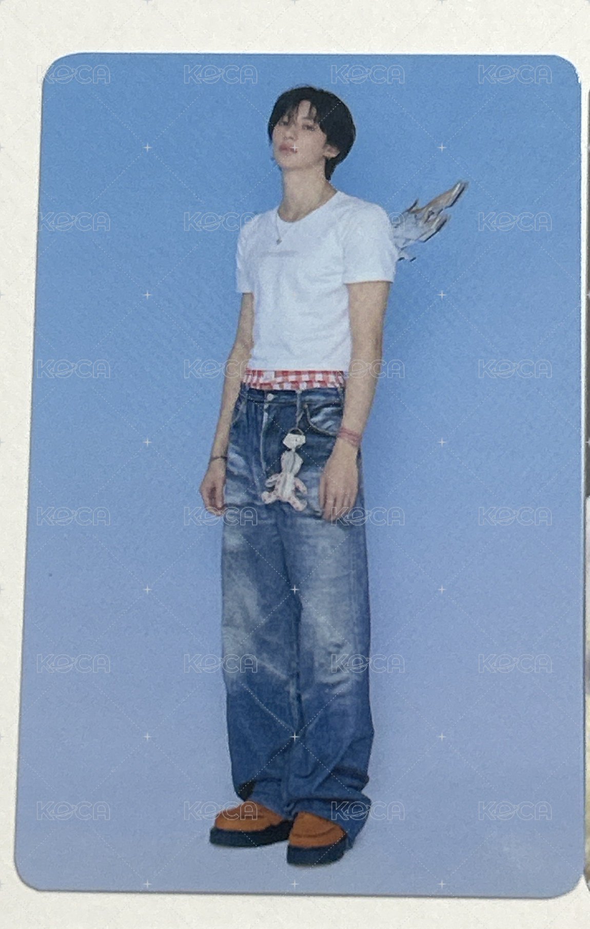 藍底官拍