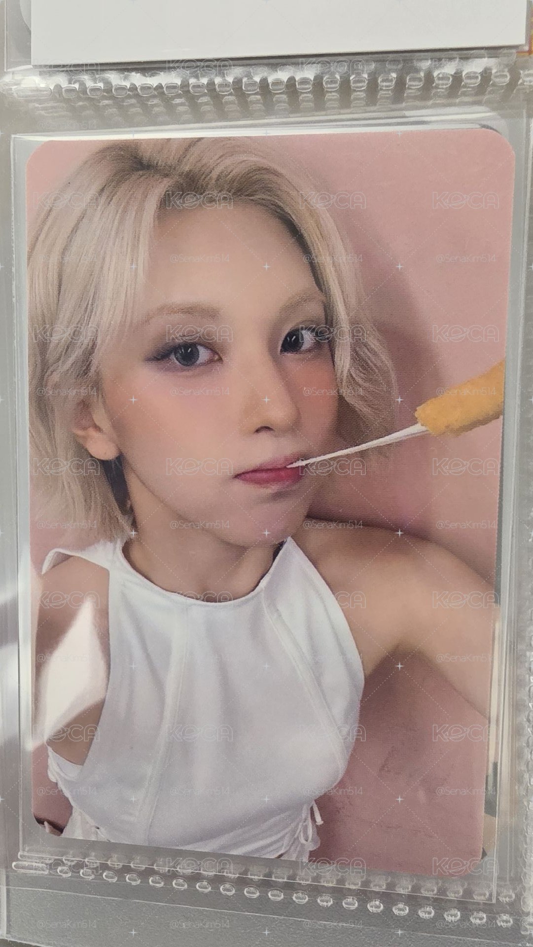 ms起司條
