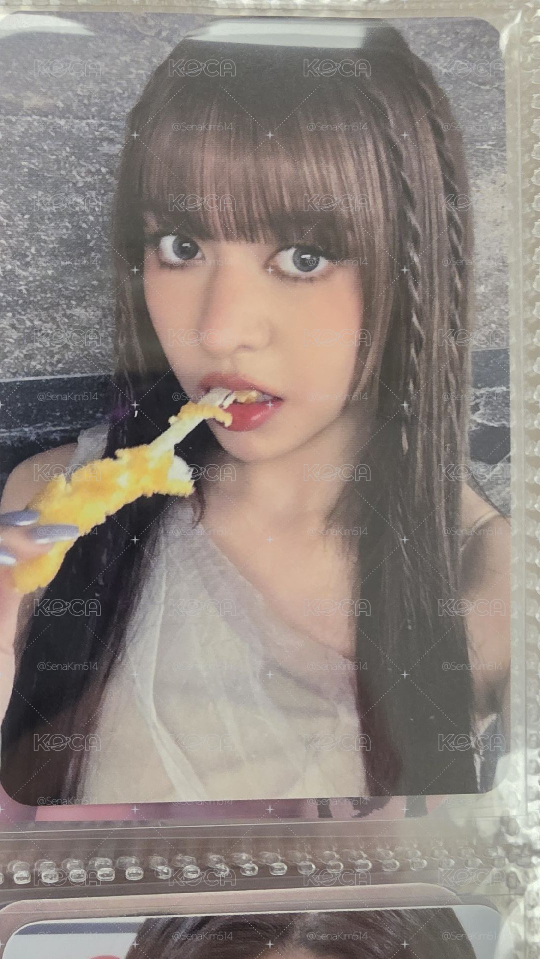 ms起司條