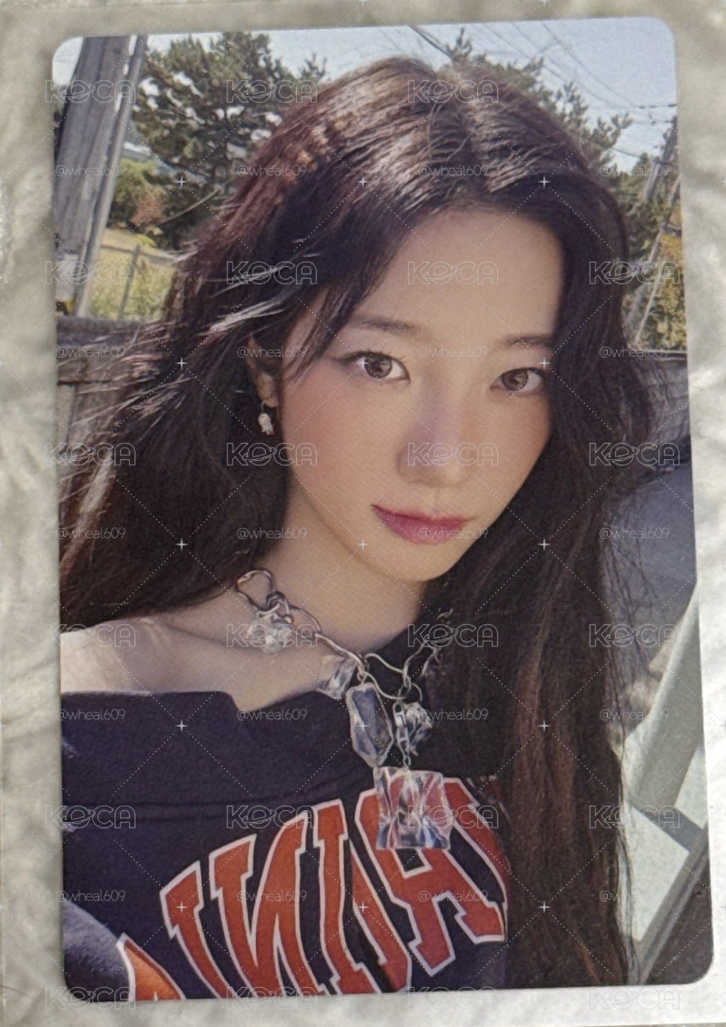 最後一張 Hello82 葉
