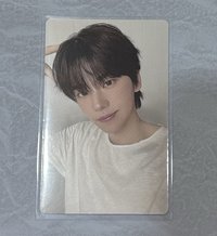 貓耳