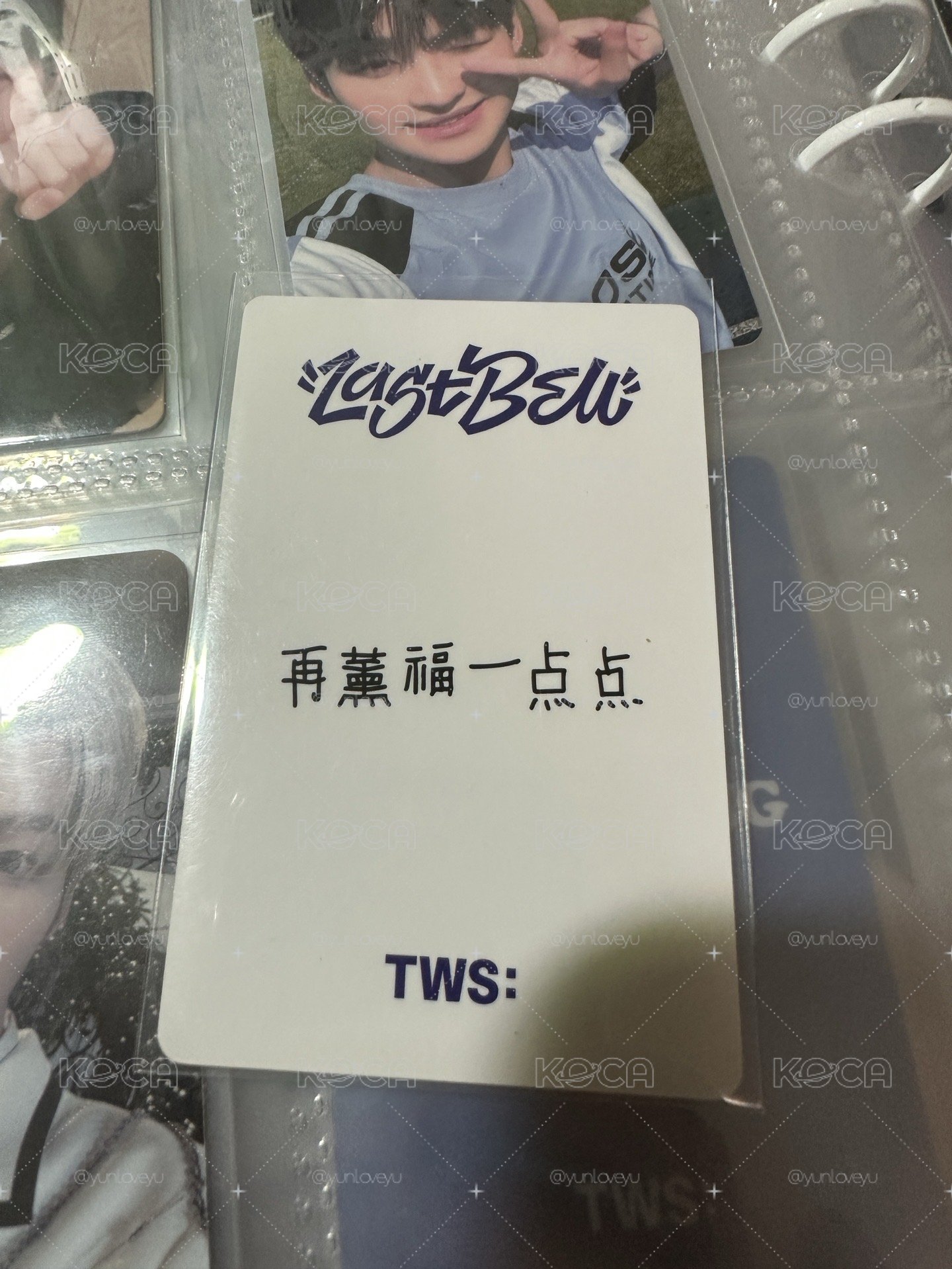 志薫中背迷你盤