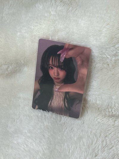 춤 卡包 隨機卡