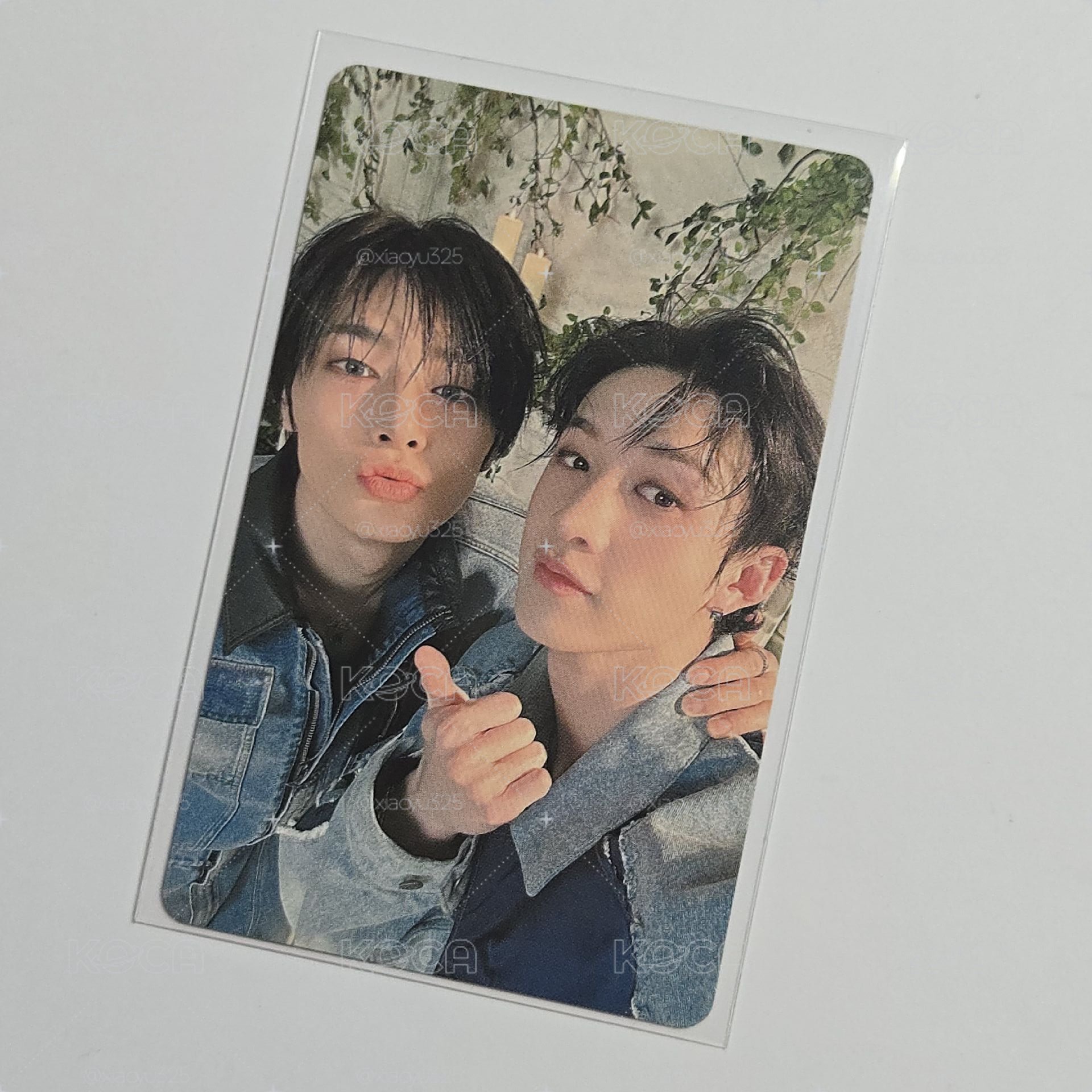 SKZ Hollow 特典 燦寅