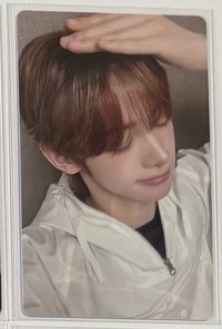 韓振