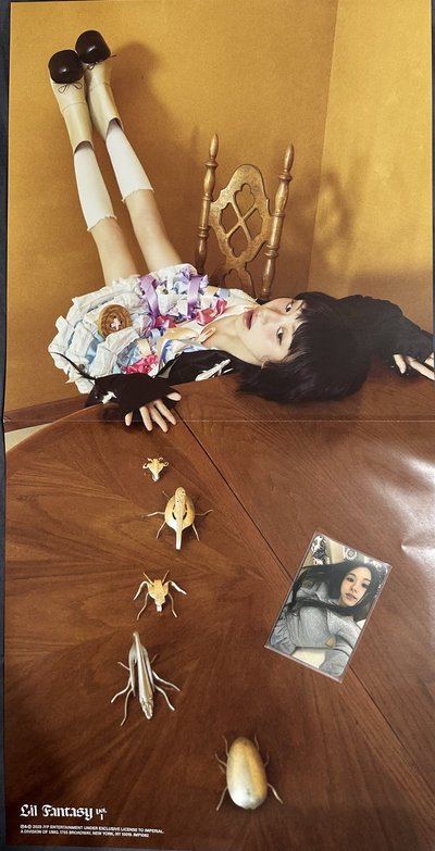 TWICE Chaeyoung 彩瑛盤 ❤️