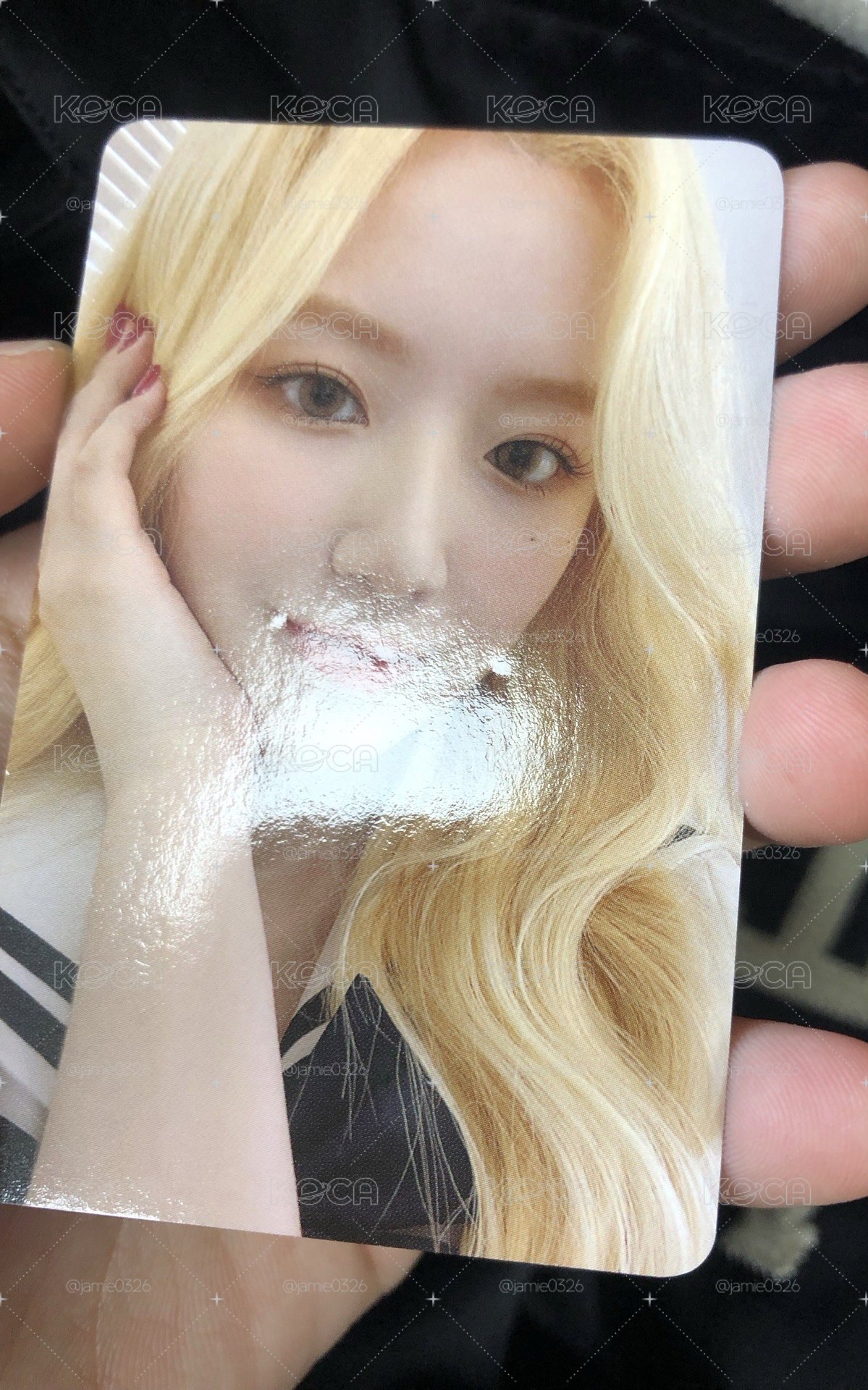 金髮刷小盤