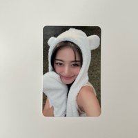 迷13 熊帽效