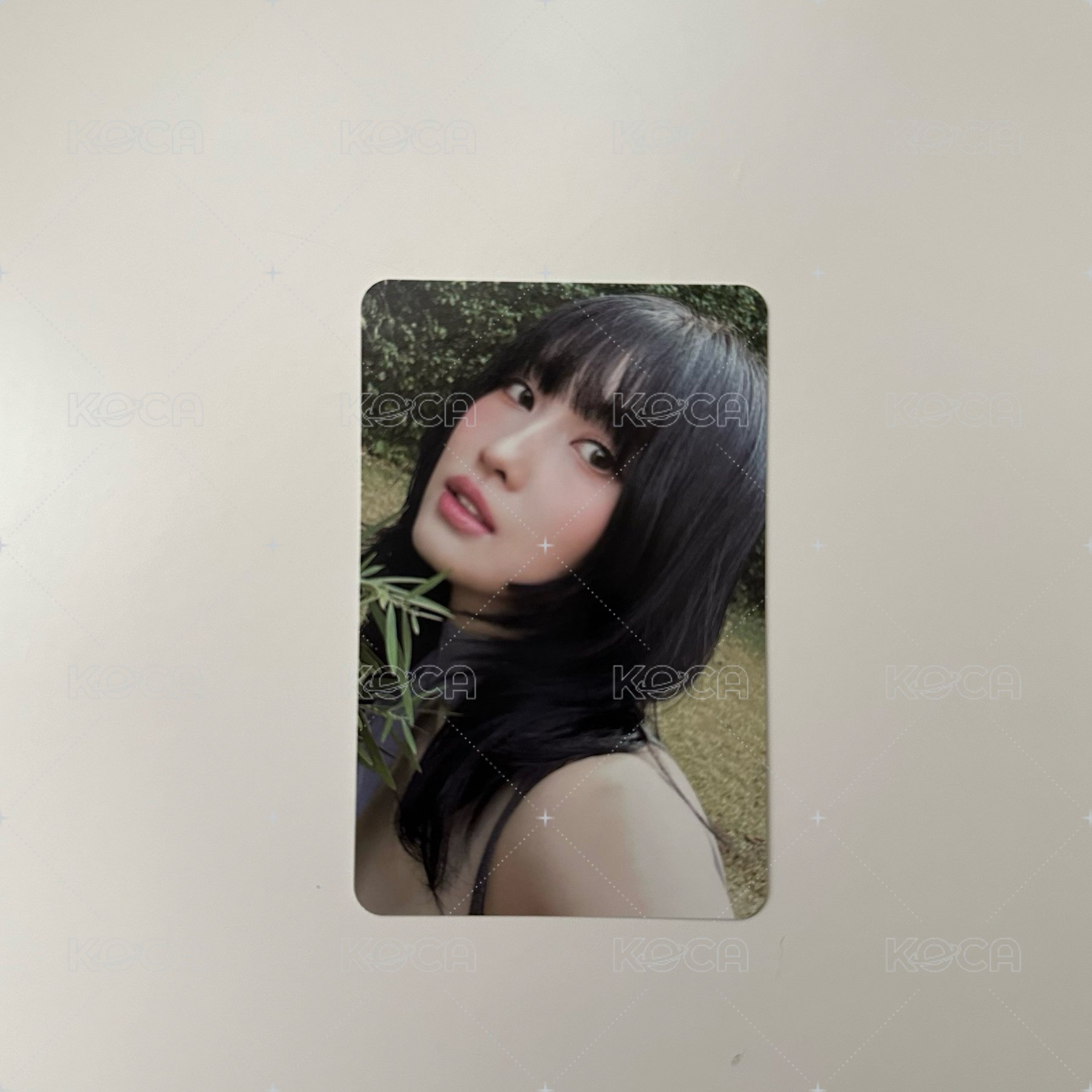 迷13 桃