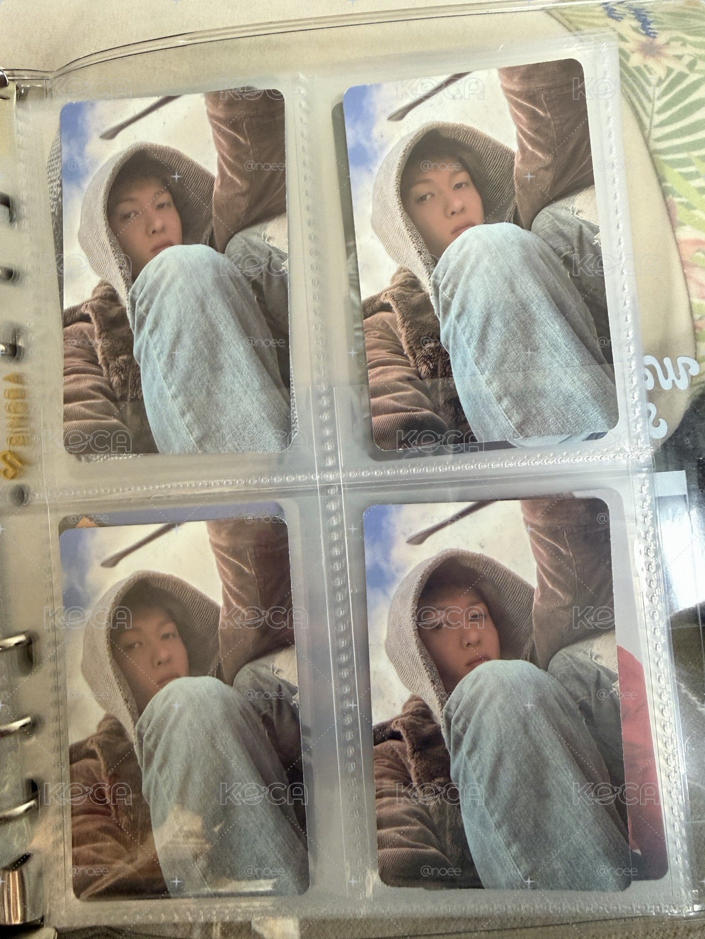 bridge專輯小卡馬丁