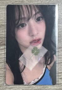 幸運草
