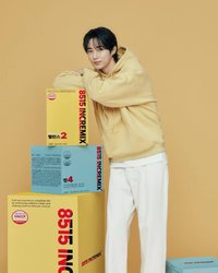 8515 INCREMIX