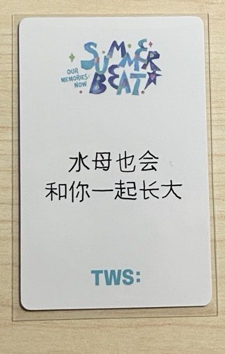 迷二 yzy 清涼學長 中文卡背💗