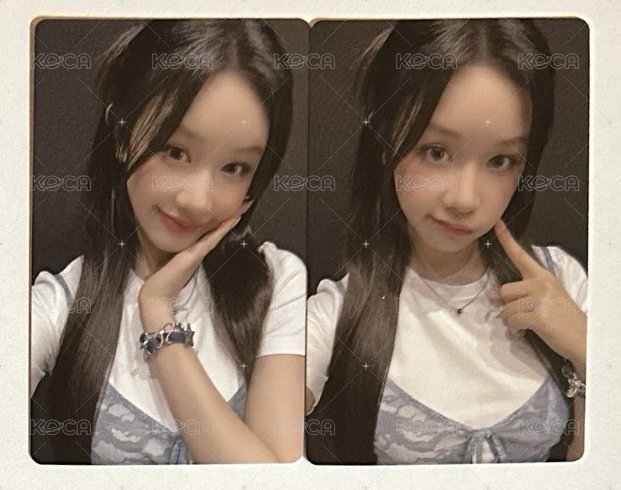 Pharita 一套