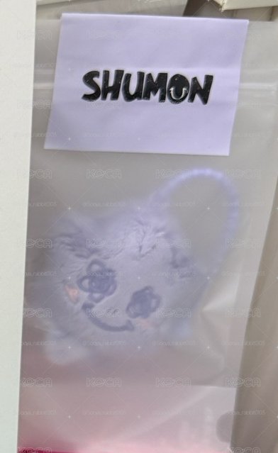 Shumon 紫色全新未拆