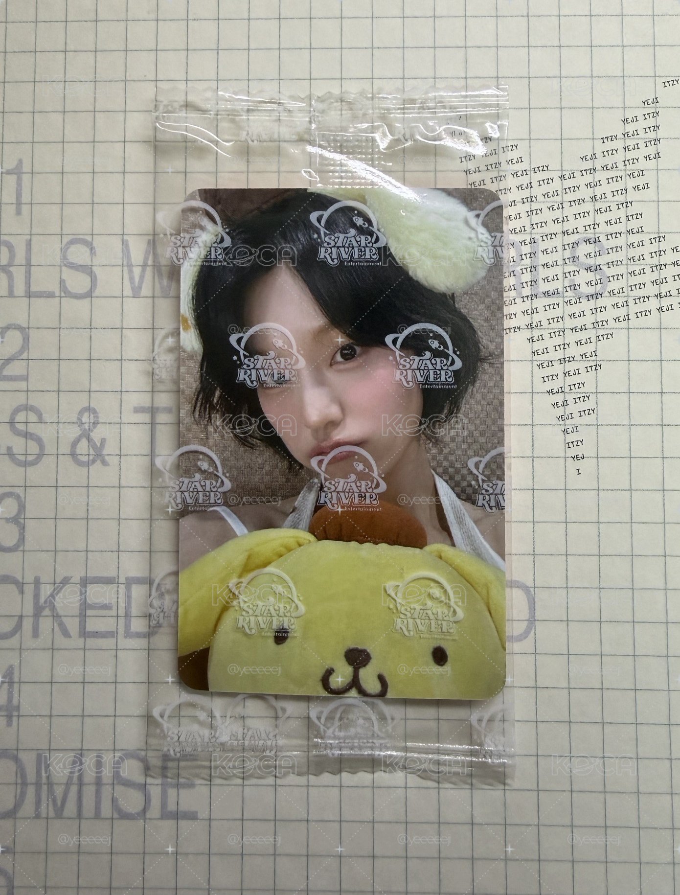 星河布丁狗志
