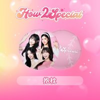 2S HOW2SPECIAL 抱枕