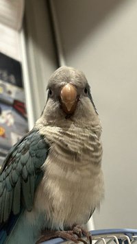 踢