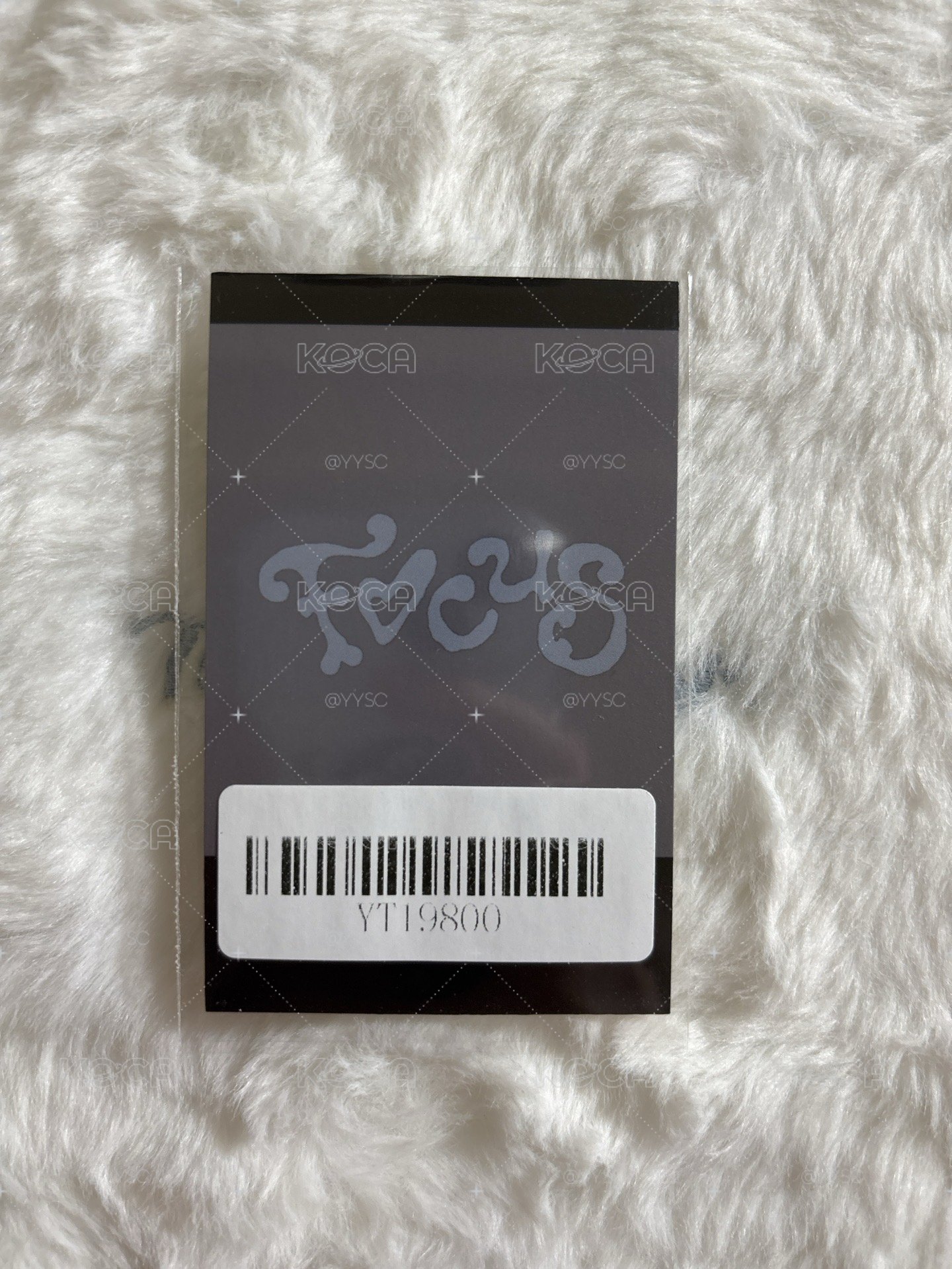Carmen Focus kms 2.0 v2 簽售卡 上海
