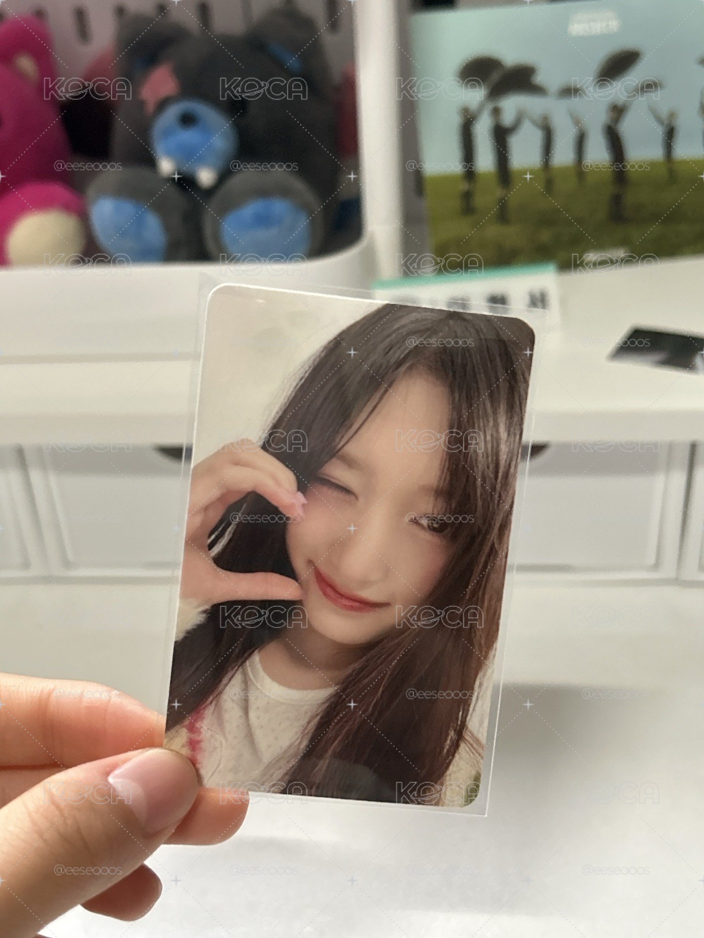 瑞卡