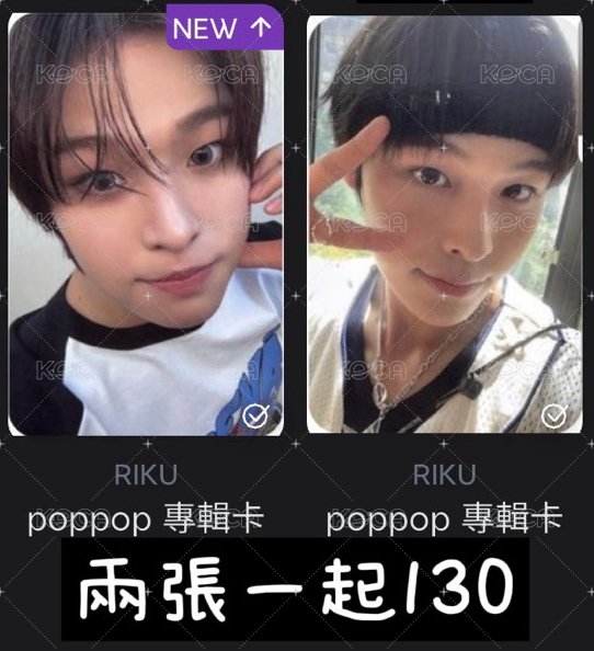 專輯預售卡（兩張加一張樹卡