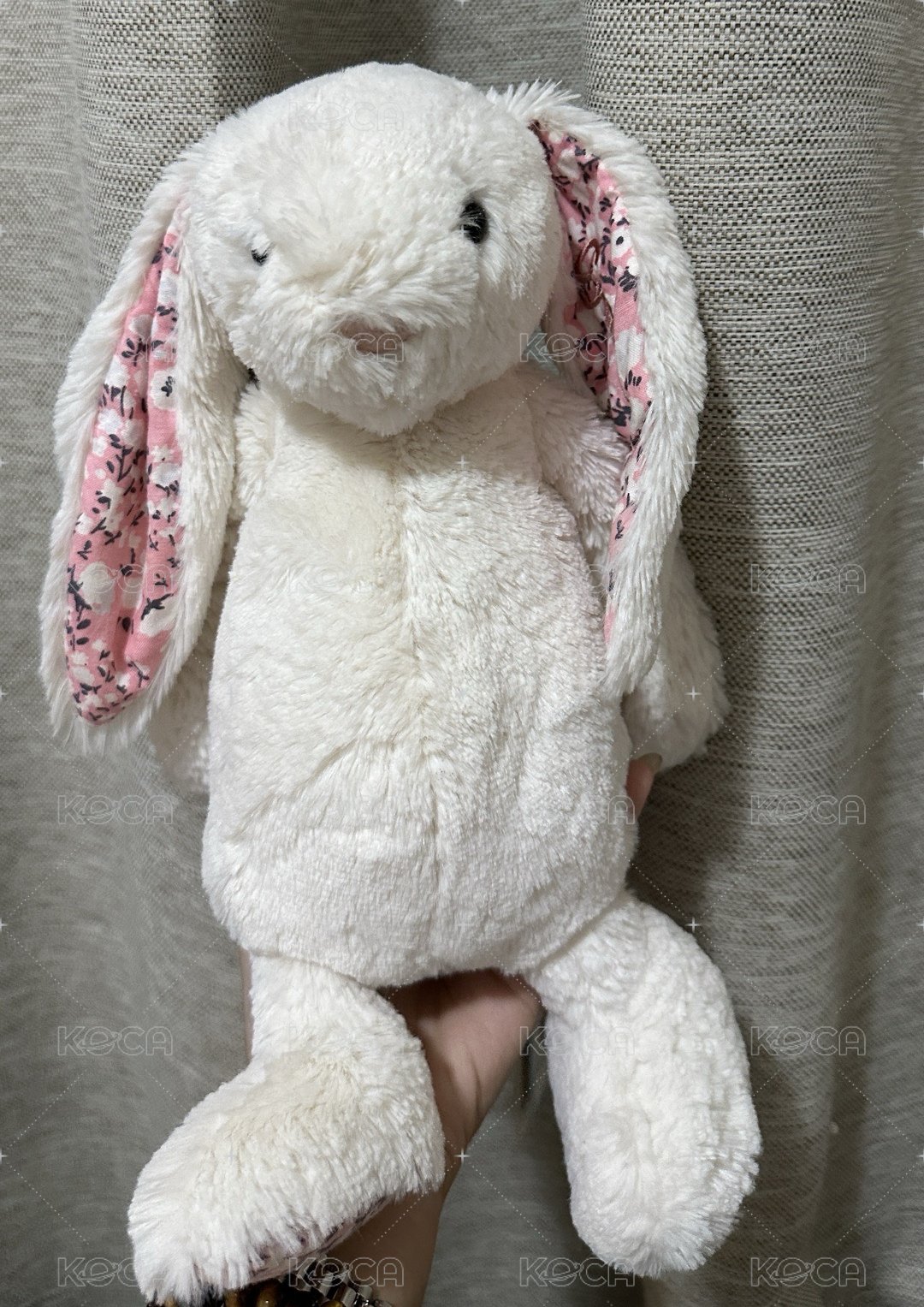🐰
