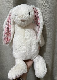 🐰