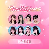 2S HOW2SPECIAL 徽章胸針