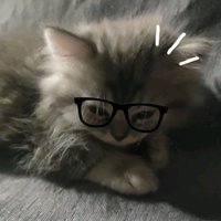 yulklio