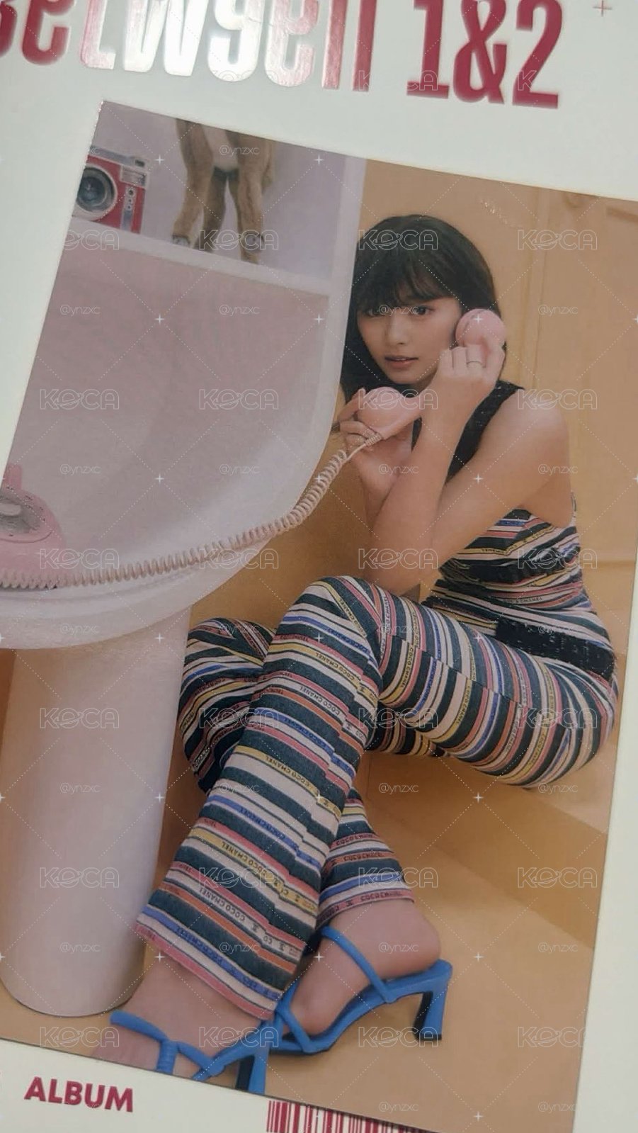 子瑜大卡區