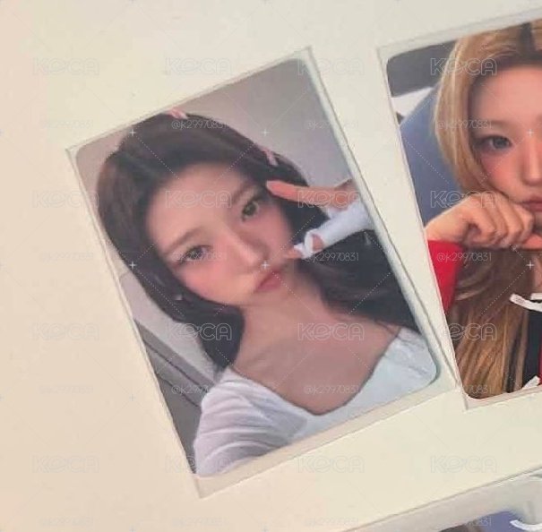 Focus am 2.0 簽售卡 stella 