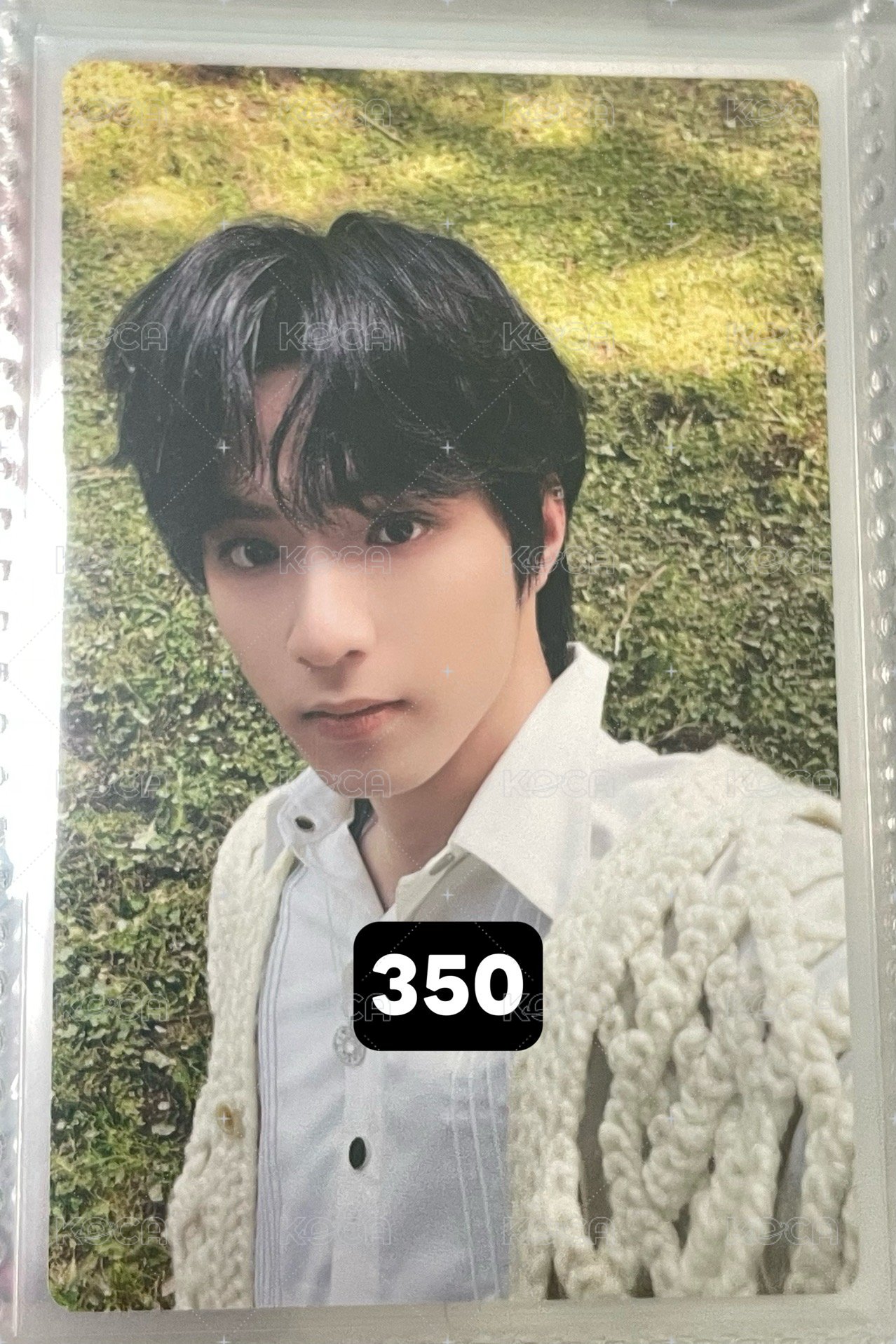 19歲生日草地