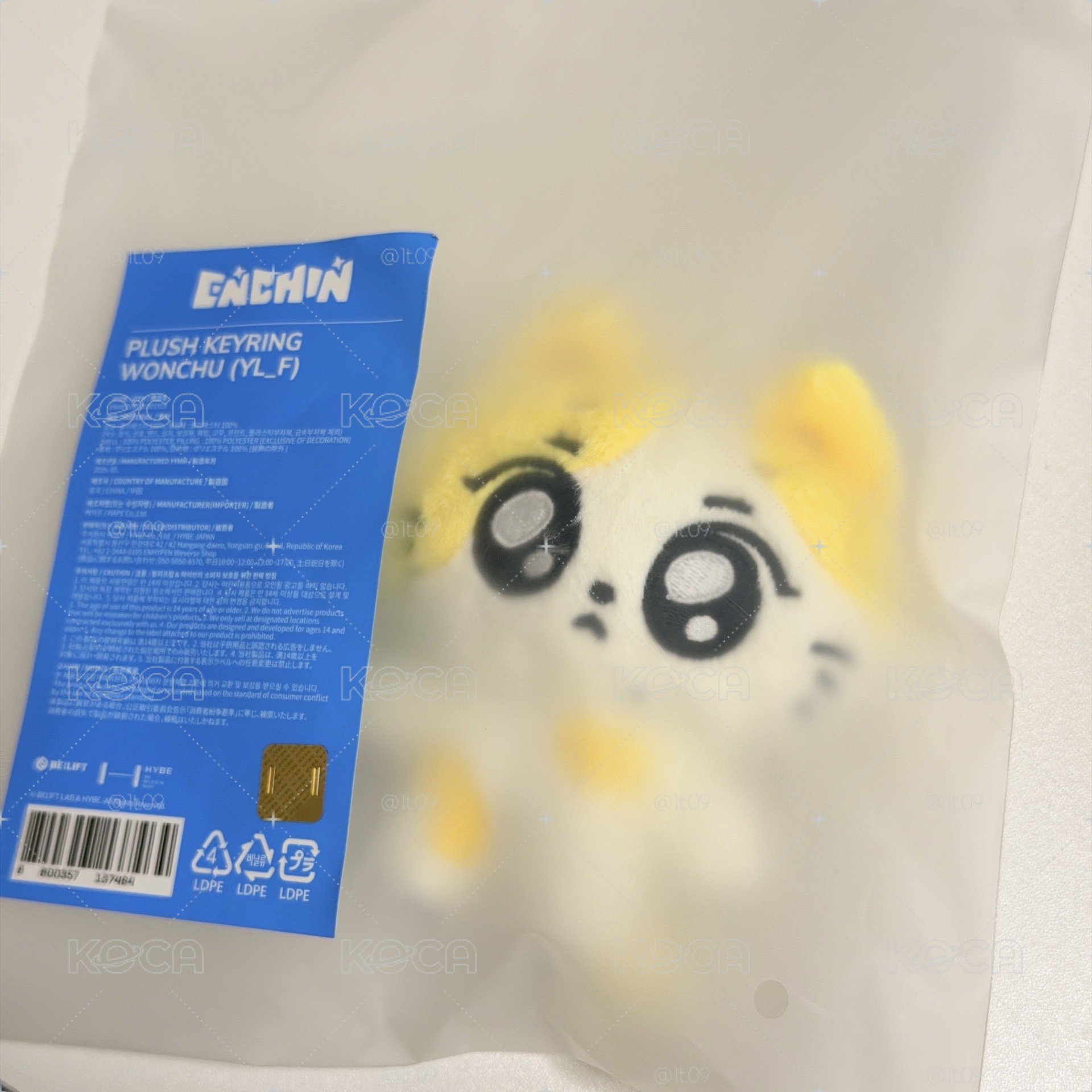 wonchu線下娃