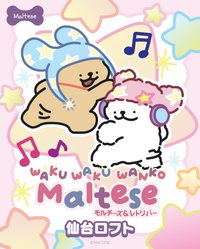 Maltese × LOFT 仙台快閃店