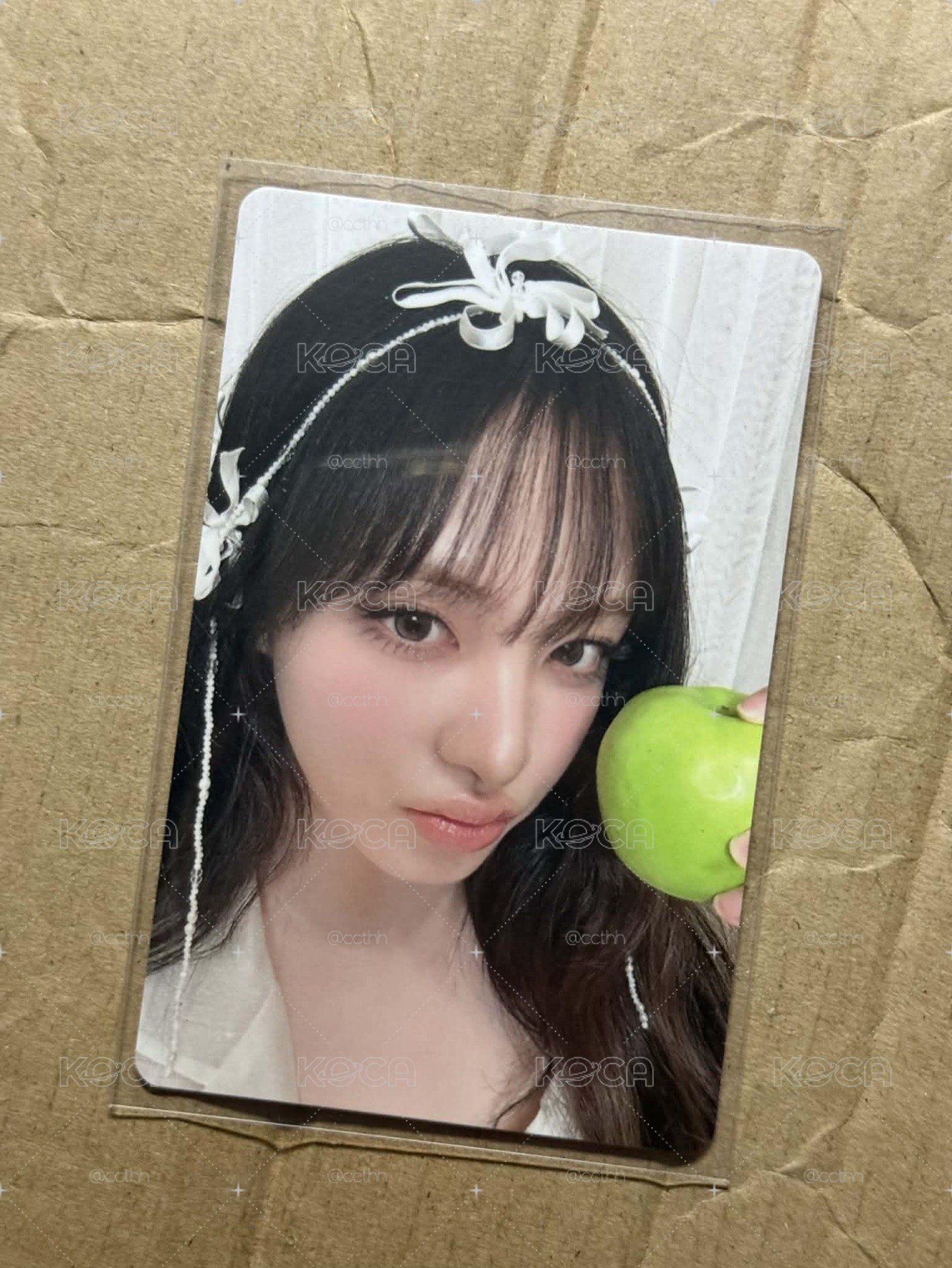 Liz 青蘋果