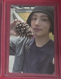 wvs預售