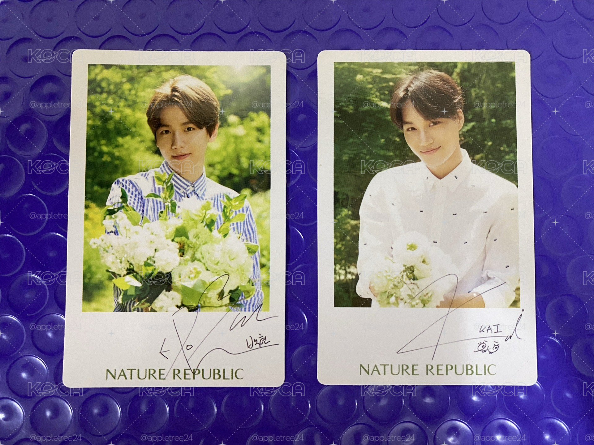 EXO NATURE REPUBLIC 代言卡