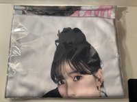 寶咔咔手幅