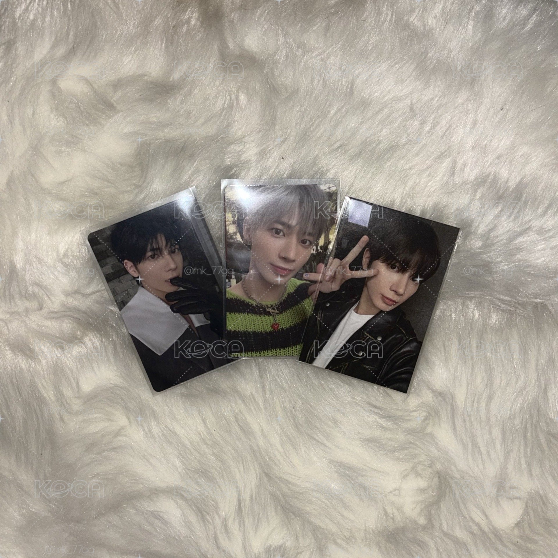 顯卡🐱